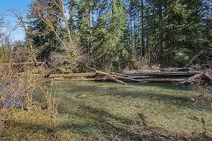 28910 E Rd 12 Lot 61, Rhododendron, OR 97049 - Photo 4