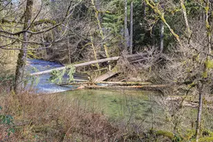 28910 E Rd 12 Lot 61, Rhododendron, OR 97049 - Photo 40