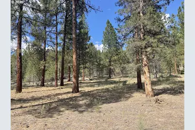 Tableland Rd #700, Chiloquin, OR 97624 - Photo 1