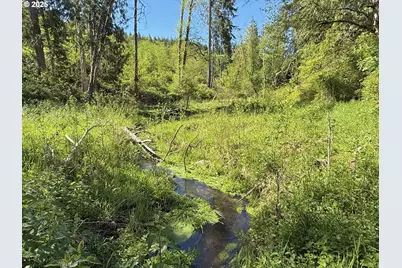 73000 Clatskanie Heights Rd, Clatskanie, OR 97016 - Photo 4