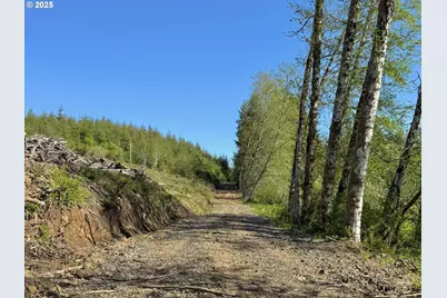 73000 Clatskanie Heights Rd, Clatskanie, OR 97016 - Photo 2