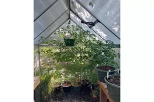 704 Residence St, Enterprise, OR 97828 - Photo 16