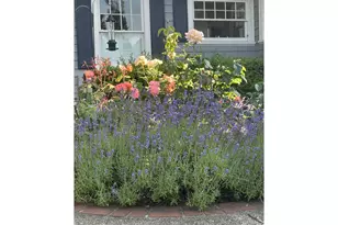 2417 NE Hamblet St NE, Portland, OR 97212 - Photo 48