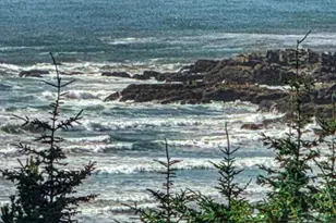 350 Hill Ct, Yachats, OR 97498 - Photo 10