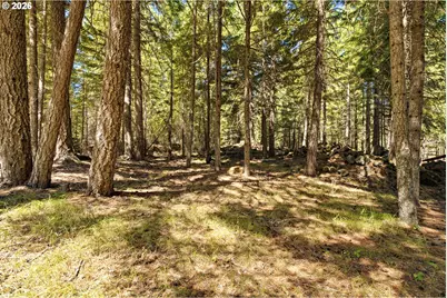 14 Westside Rd, Trout Lake, WA 98650 - Photo 44