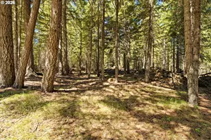 14 Westside Rd, Trout Lake, WA 98650 - Photo 44