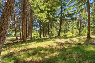 14 Westside Rd, Trout Lake, WA 98650 - Photo 36