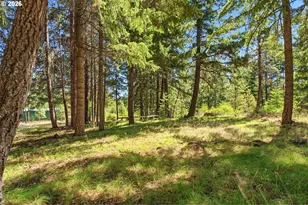 14 Westside Rd, Trout Lake, WA 98650 - Photo 36