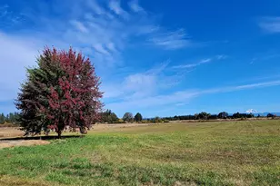 180 Rodeo Ln, Toledo, WA 98591 - Photo 32