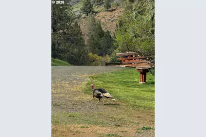 20480 Hwy 395 N, Mount Vernon, OR 97865 - Photo 46