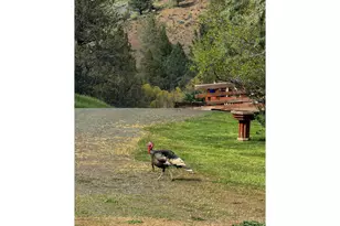 20480 Hwy 395 N, Mount Vernon, OR 97865 - Photo 46