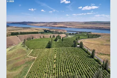 17 Sundale Dr, Roosevelt, WA 99356 - Photo 1