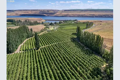 17 Sundale Dr, Roosevelt, WA 99356 - Photo 2