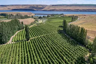 17 Sundale Dr, Roosevelt, WA 99356 - Photo 2