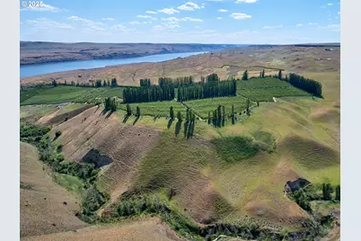 17 Sundale Dr, Roosevelt, WA 99356 - Photo 4