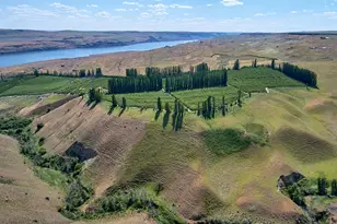 17 Sundale Dr, Roosevelt, WA 99356 - Photo 4