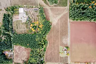 29795 SE Gruber Rd, Estacada, OR 97023 - Photo 38