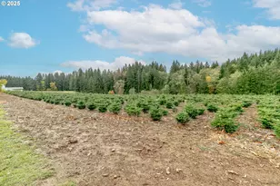 29795 SE Gruber Rd, Estacada, OR 97023 - Photo 36