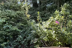 665 Village Pines Dr, Coos Bay, OR 97420 - Photo 24