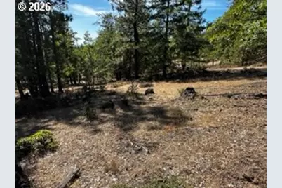 1 Orchard Heights Rd, Goldendale, WA 98620 - Photo 2