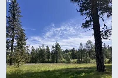 120 Ken Rose Ln, Cave Junction, OR 97523 - Photo 42