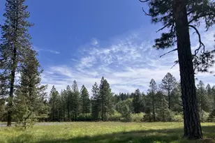 120 Ken Rose Ln, Cave Junction, OR 97523 - Photo 42