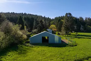 5491 SE Telegraph Rd, Amity, OR 97101 - Photo 34