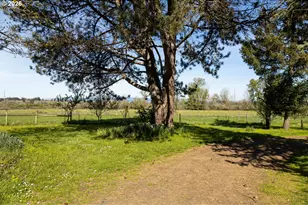 5491 SE Telegraph Rd, Amity, OR 97101 - Photo 32