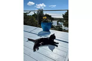 53 Shoreline Dr, Florence, OR 97439 - Photo 34