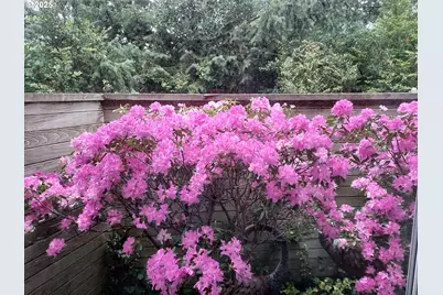 53 Shoreline Dr, Florence, OR 97439 - Photo 36