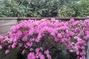 53 Shoreline Dr, Florence, OR 97439 - Photo 36