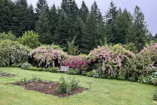 24841 S Chesnick Dr, Beavercreek, OR 97004 - Photo 38