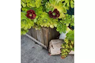 16319 Lower Harbor Rd, Brookings, OR 97415 - Photo 6