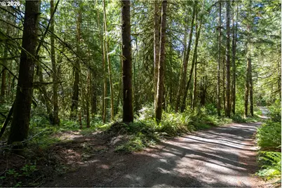 1781 E Sunset Hill Rd, Shelton, WA 98584 - Photo 2