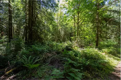 1781 E Sunset Hill Rd, Shelton, WA 98584 - Photo 4