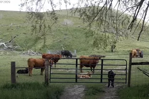 37799 Alder Cr Rd, Baker City, OR 97814 - Photo 42