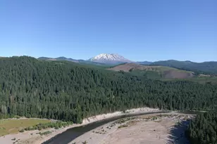 Cabin 25 Northwoods, Cougar, WA 98616 - Photo 38