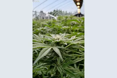 40801/40809 SE Trubel Rd, Sandy, OR 97055 - Photo 18