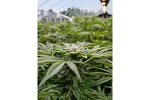 40801/40809 SE Trubel Rd, Sandy, OR 97055 - Photo 18