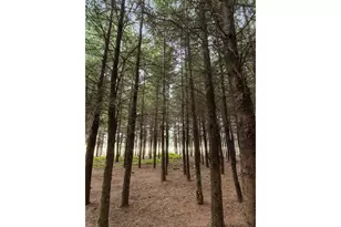 40801/40809 SE Trubel Rd, Sandy, OR 97055 - Photo 20