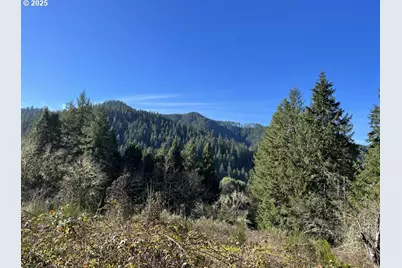 State Highway 138, Oakland, OR 97462 - Photo 6