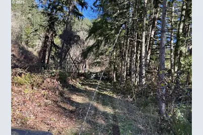 State Highway 138, Oakland, OR 97462 - Photo 18