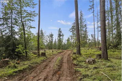 25402 S Schockley Rd, Beavercreek, OR 97004 - Photo 38