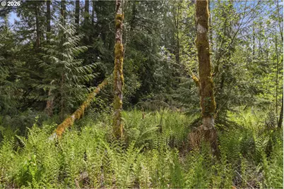 25402 S Schockley Rd, Beavercreek, OR 97004 - Photo 40