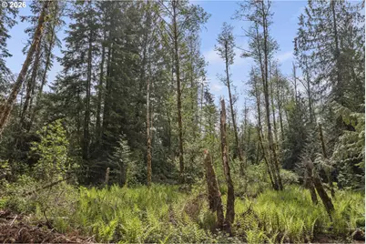 25402 S Schockley Rd, Beavercreek, OR 97004 - Photo 42