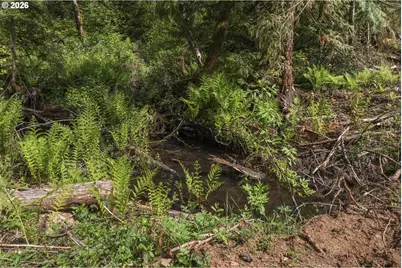 25402 S Schockley Rd, Beavercreek, OR 97004 - Photo 6
