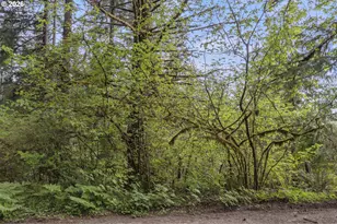 25402 S Schockley Rd, Beavercreek, OR 97004 - Photo 44