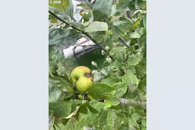 2478 Marion St, North Bend, OR 97459 - Photo 40