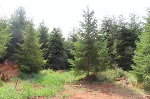 Mill Creek Ln, Longview, WA 98632 - Photo 1