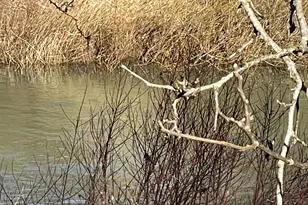 617 SW Monroe St, Sheridan, OR 97378 - Photo 38